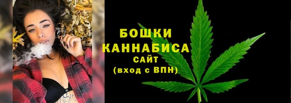 дживик Заводоуковск