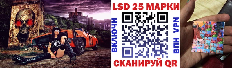 Купить закладки  Камешково  Наркотические марки 1,8мг 