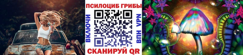 Купить  Камешково  Псилоцибиновые грибы прущие грибы 